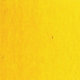 JAUNE WINSOR FONCE