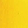 JAUNE WINSOR FONCE